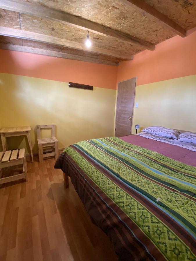 Willhouse Hostel Pucón Dış mekan fotoğraf